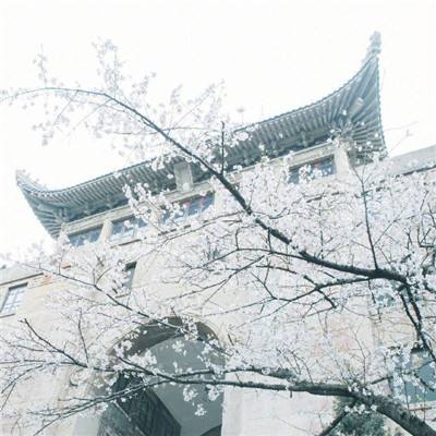 天津检察机关依法对姜杰涉嫌受贿案提起公诉